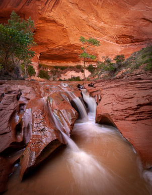 Coyote Gulch, Escalante Nat'l Mon.