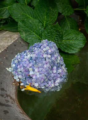 Antiqua fountains & ponds