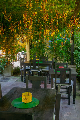 Garden restaurant