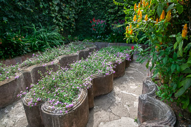 Herb garden