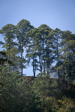More Mayan ritual on hillside above town