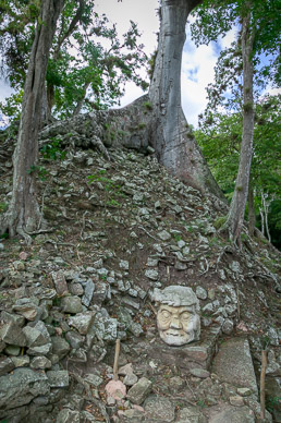 Jungle has reclaimed much of the site