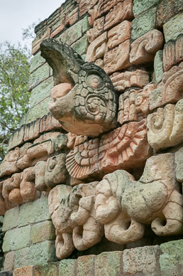 Bird head overlooking courtyard (probably held game ring)