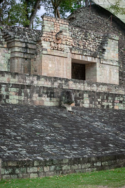 Bird head overlooking courtyard (probably held game ring)