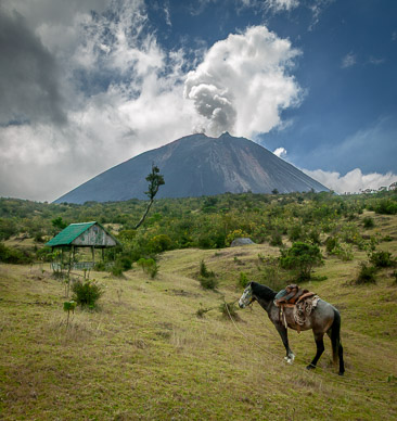 Could get a ride if desired; Pacaya puffing