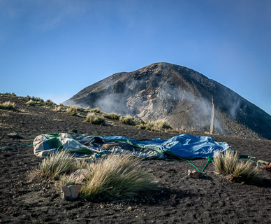 Others had a worst night than we did!