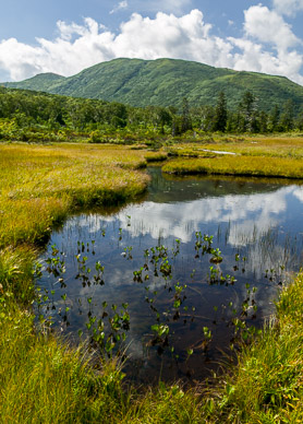 Nature preserve on highway 68