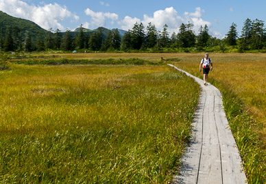 Nature preserve on highway 68