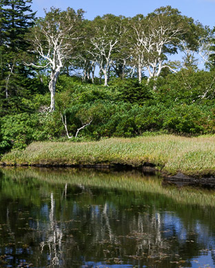 Nature preserve on highway 68