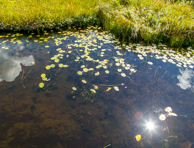 Nature preserve on highway 68