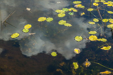 Nature preserve on highway 68