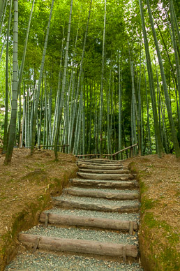 Kodai-ji Temple