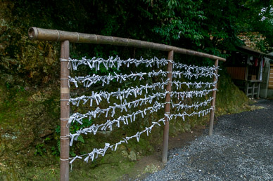 Grounds of Rokuonji Temple