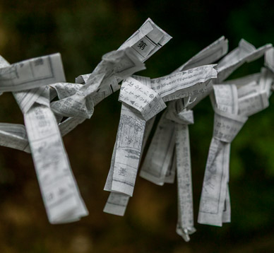 Grounds of Rokuonji Temple