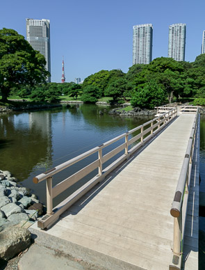 One of many Tokyo parks