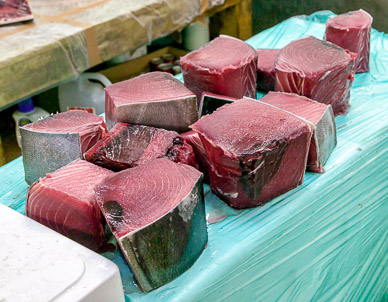 Tsukiji fish market