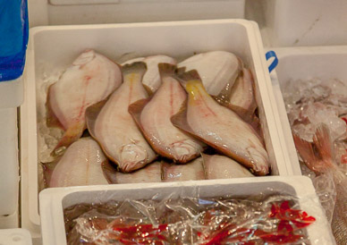 Tsukiji fish market