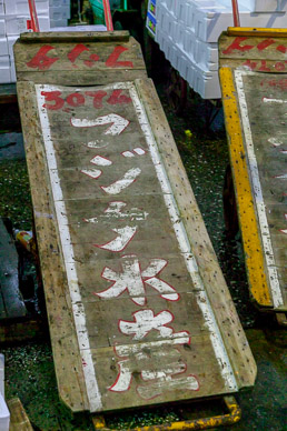Tsukiji fish market
