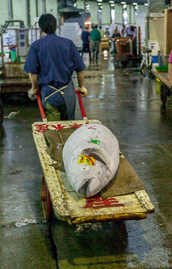 Tsukiji fish market