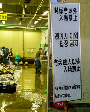 Tsukiji fish market