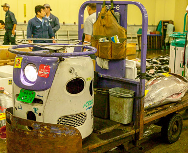 Tsukiji fish market
