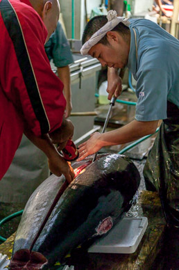 Tsukiji fish market