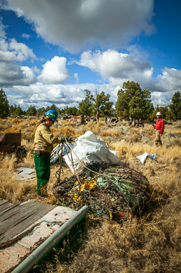 BLM hauled cars away in a few weeks