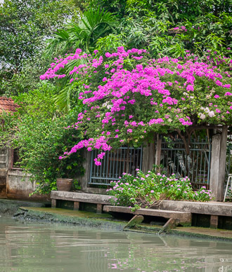 Sights during Bangkok boat cruise