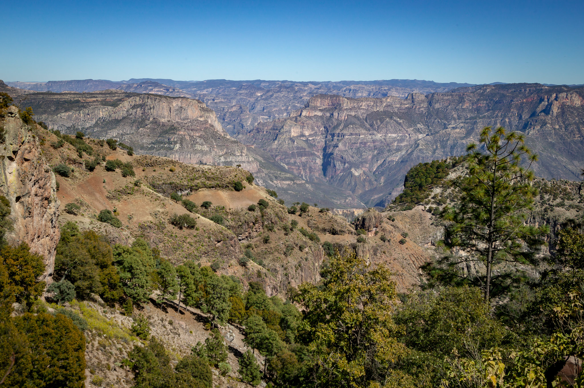 Copper Canyon views over Urique
