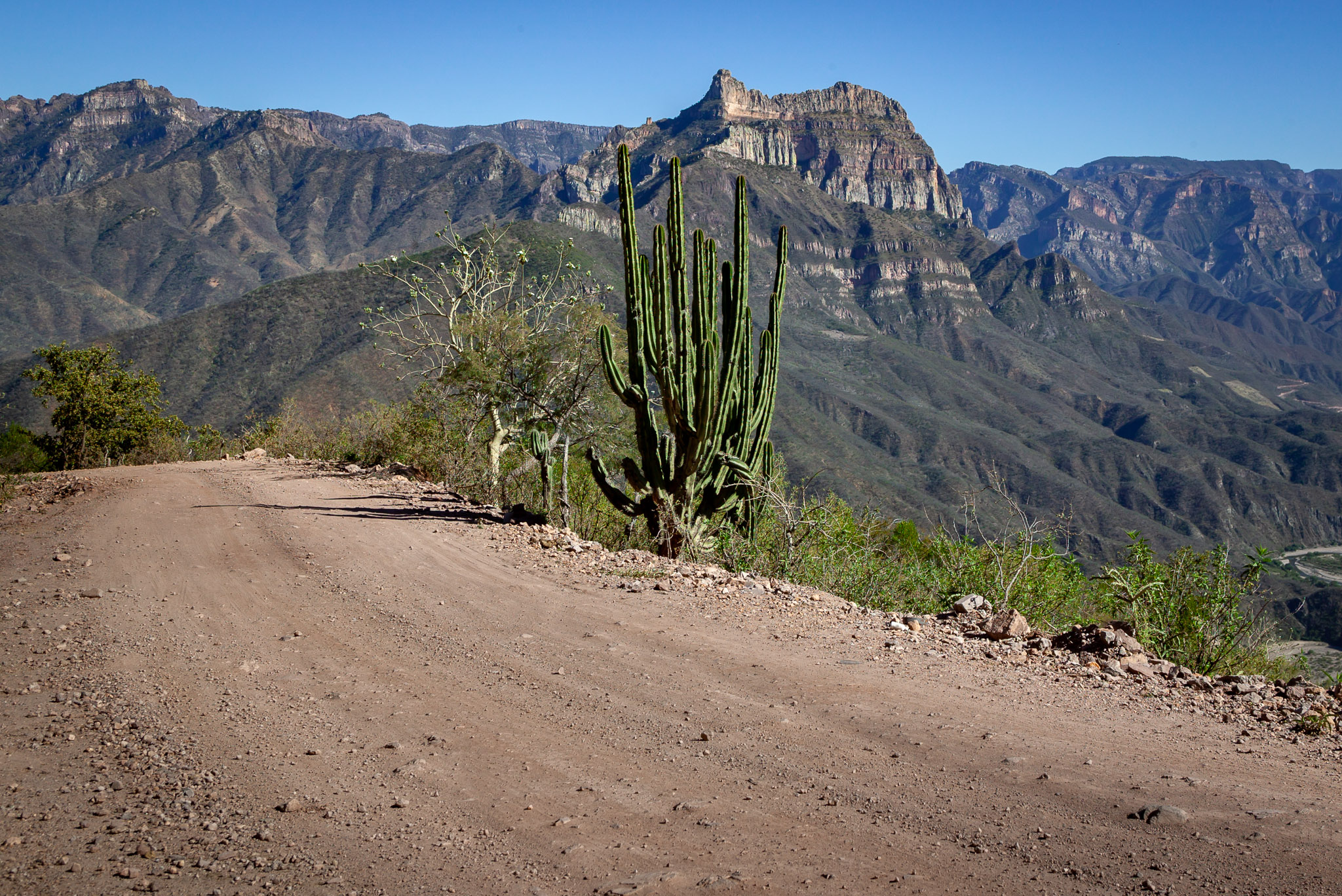 On 4WD road down into Copper Canyon
