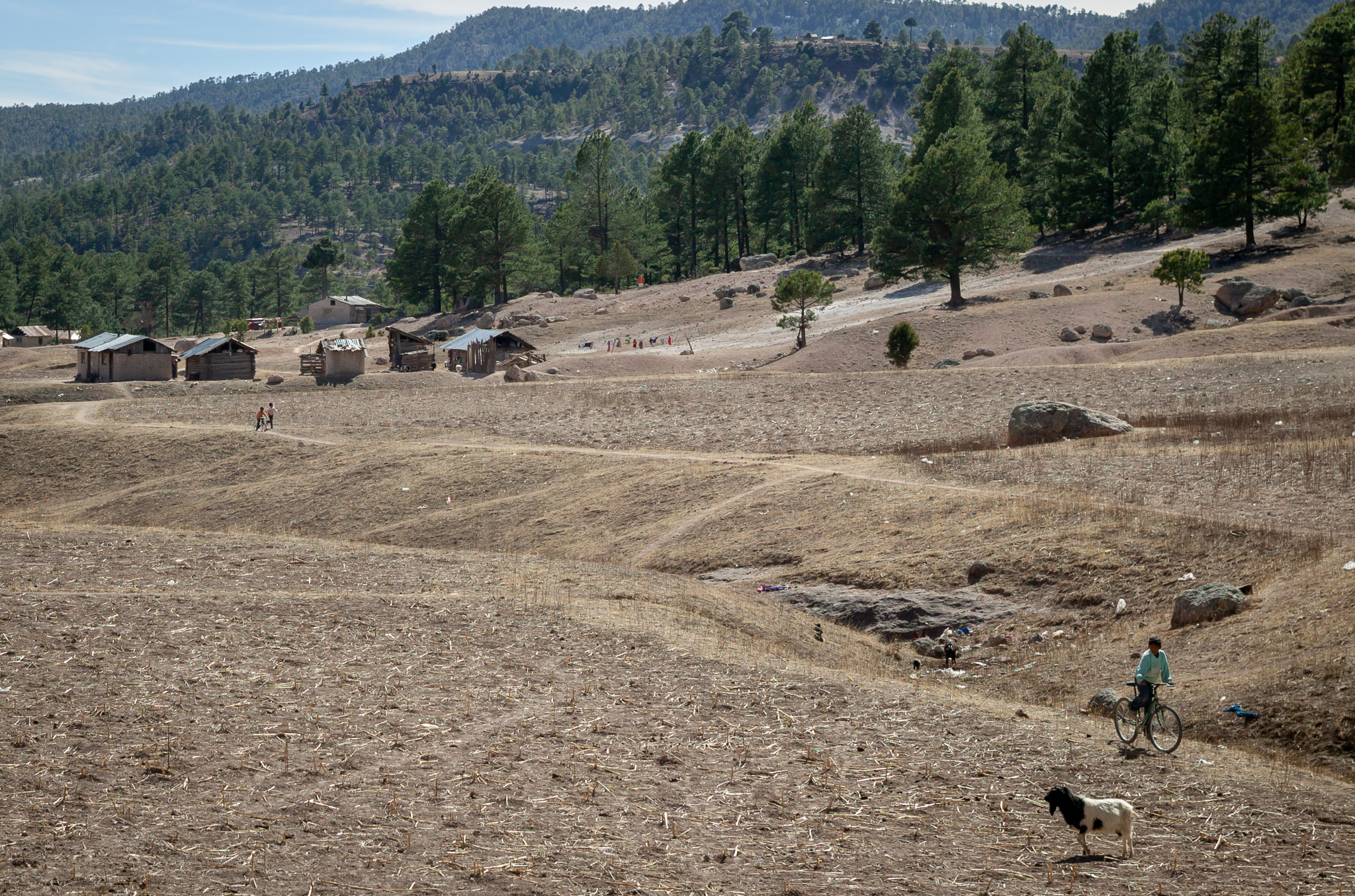 Sierra Tarahumara settlement