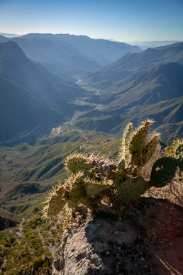Back at viewport over Copper Canyon