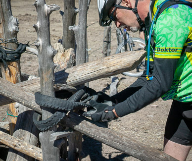 "Unlocking" cattlegate