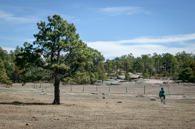 Riding from Creel to Valle de Monjes