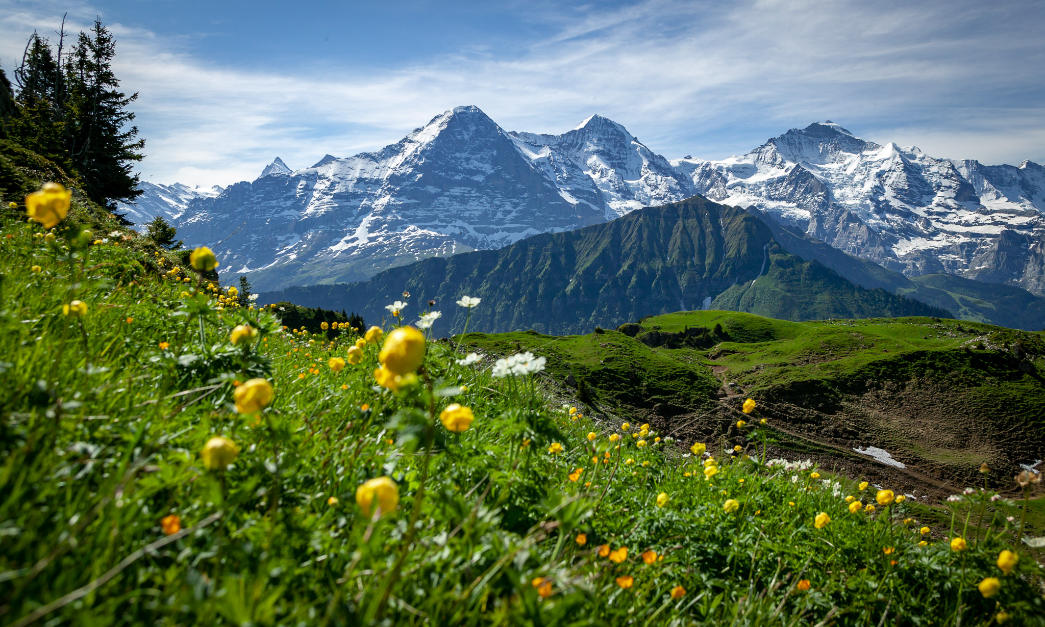 View along Schynige Platte-First-Grindelwald hike