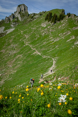 View along Schynige Platte-First-Grindelwald hike