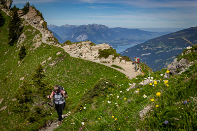 View along Schynige Platte-First-Grindelwald hike