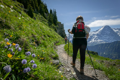 View along Schynige Platte-First-Grindelwald hike