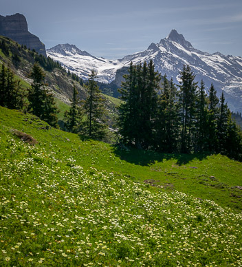 View along Schynige Platte-First-Grindelwald hike