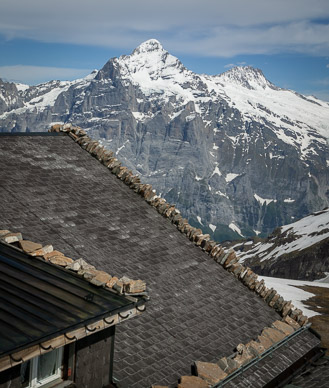 Interesting roof details