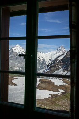 View from diningroom