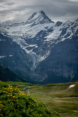 View of Wetterhorn