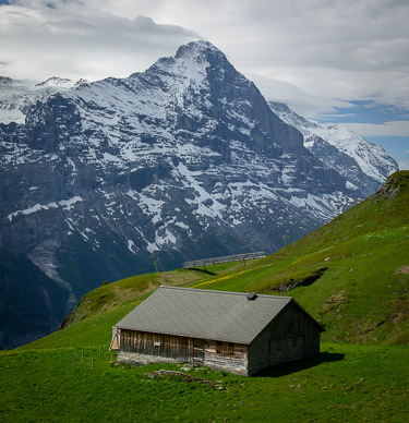 High meadow dairy barn
