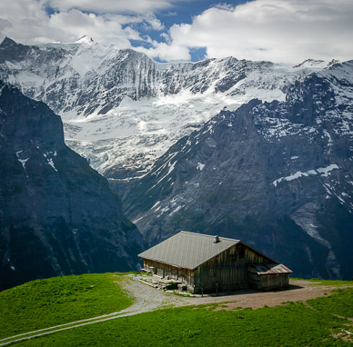 High meadow dairy barn