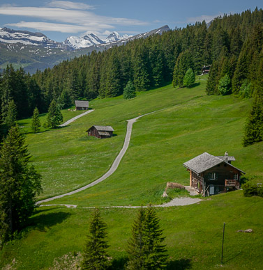 View from First gondola