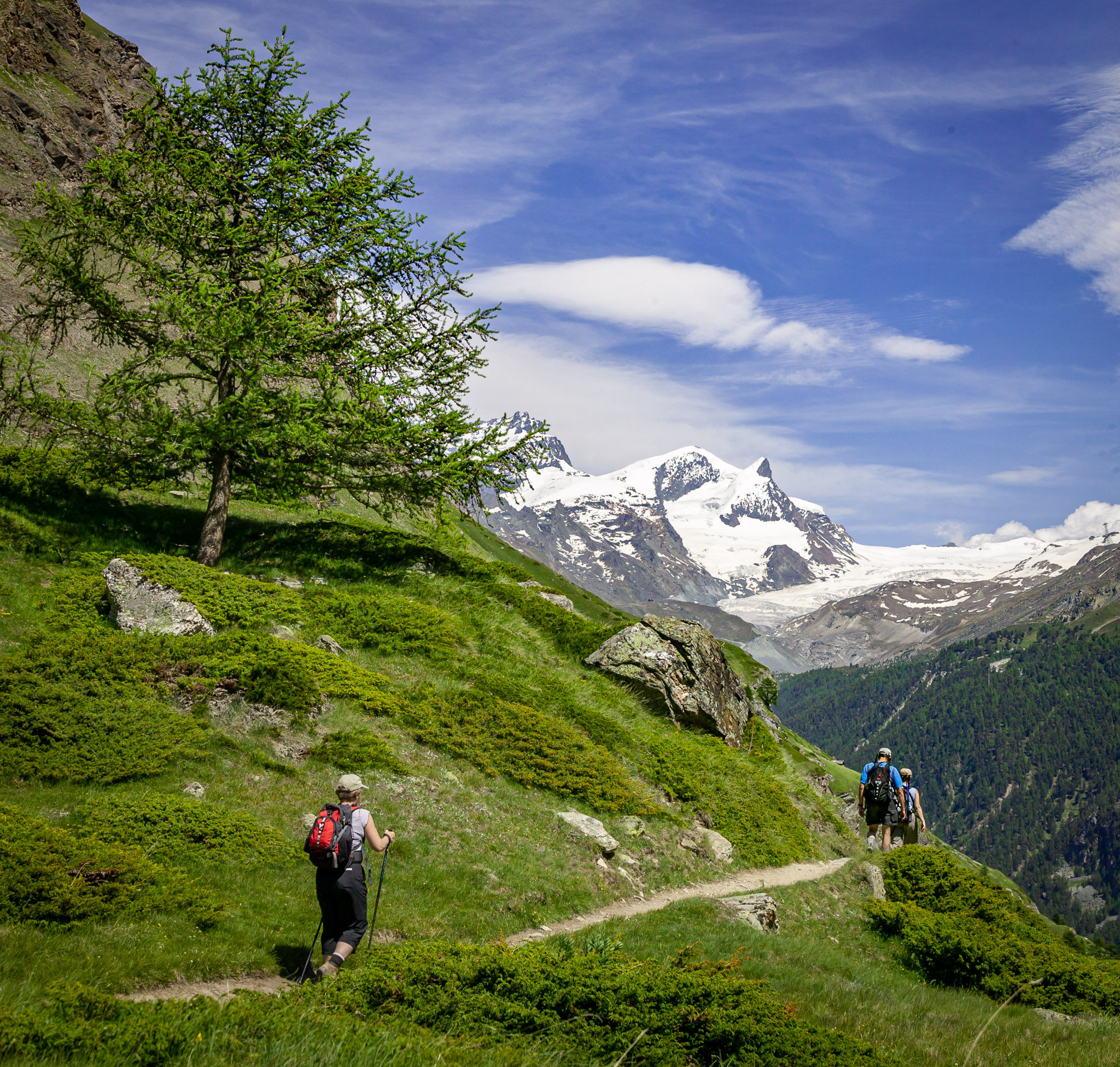 View along hike from Schwarzsee to Stafel