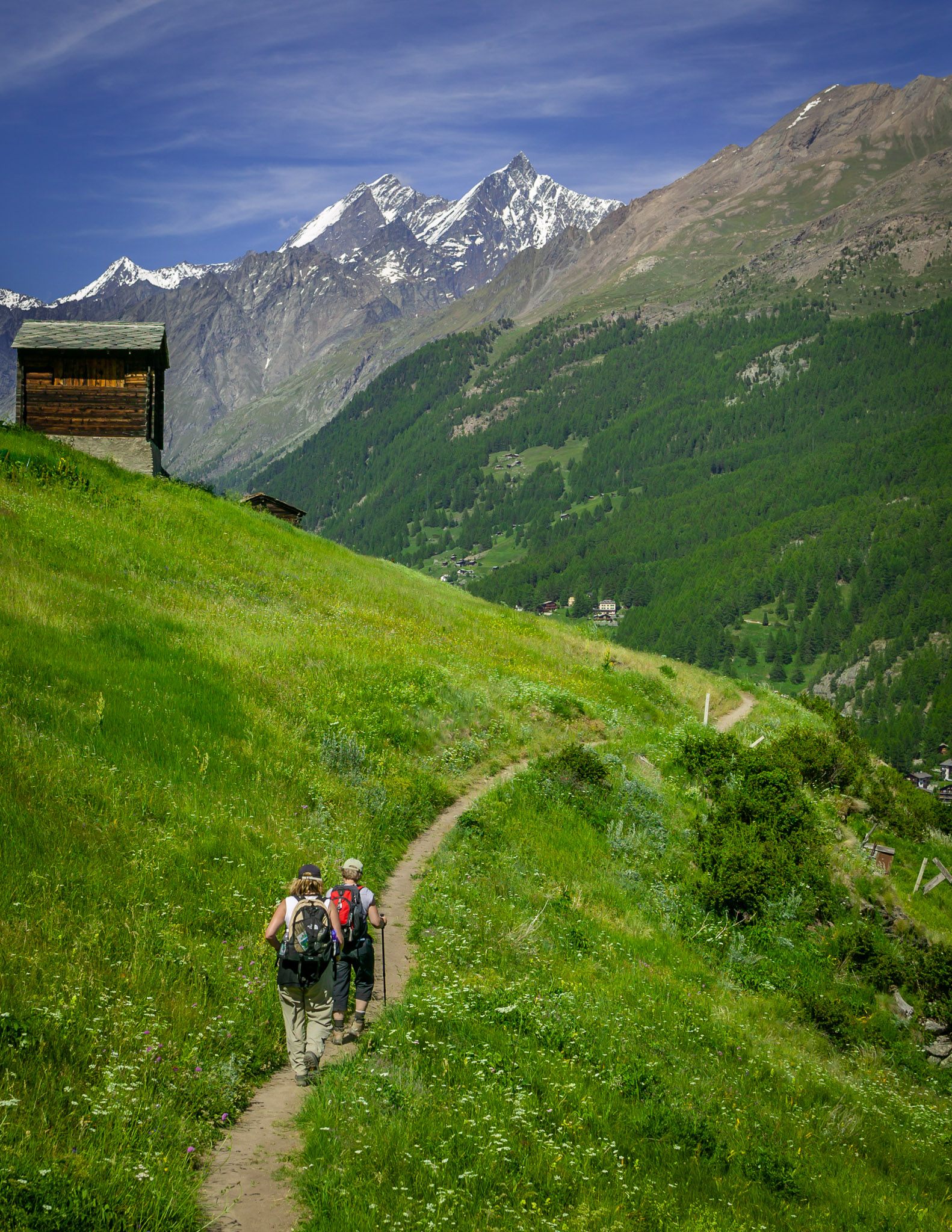 Hike from Zmutt to Zermatt