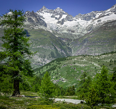 View up Trift Valley from Riffelalp trail