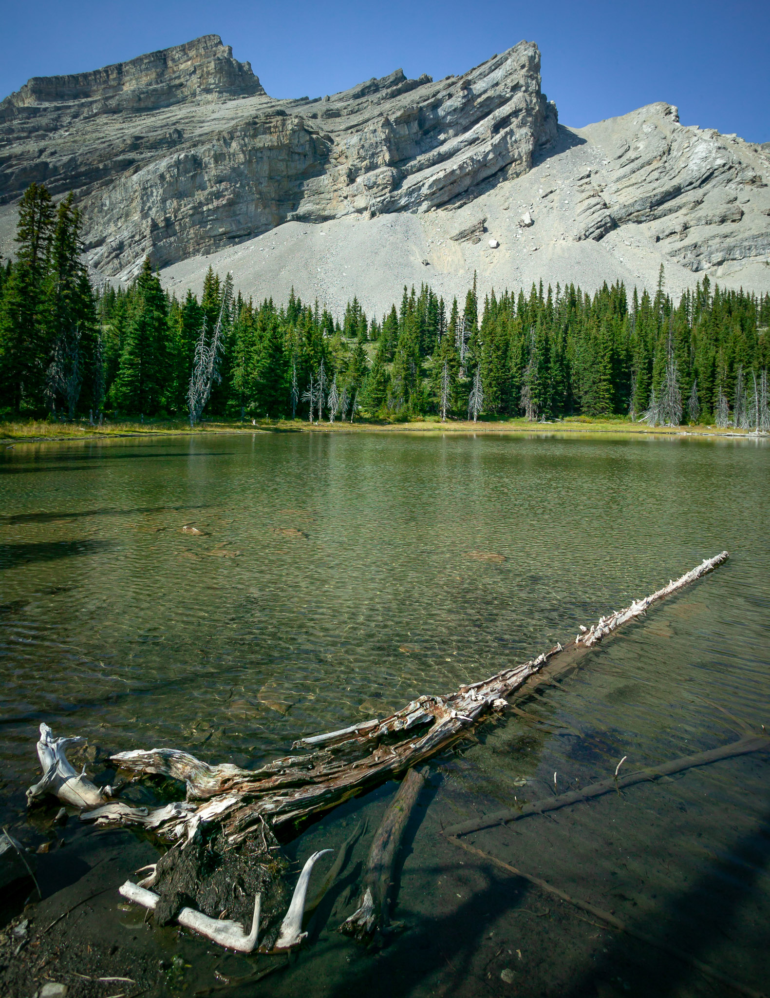 Highwood Range above one of the middle Pickle Jar Lakes, Alberta