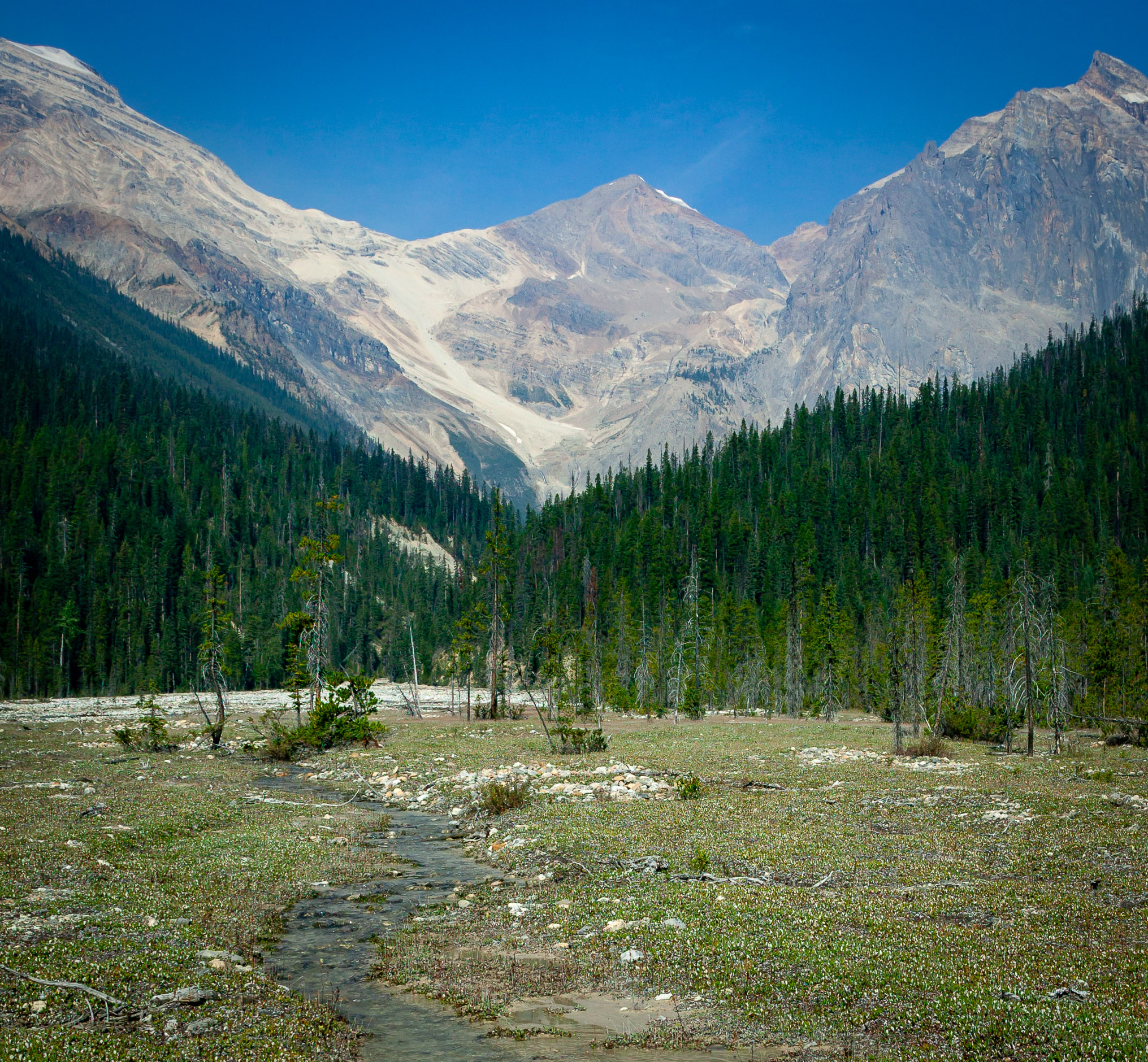 Yoho Pass Trail out of Emerald Lake